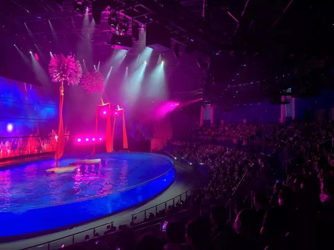 c秀,水秀,实景演出,室内演出,剧场演出