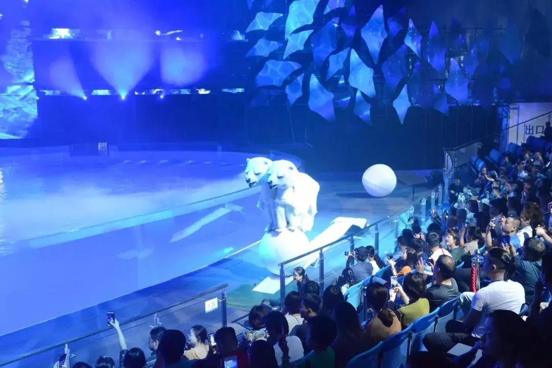 c秀,水秀,实景演出,室内演出,剧场演出