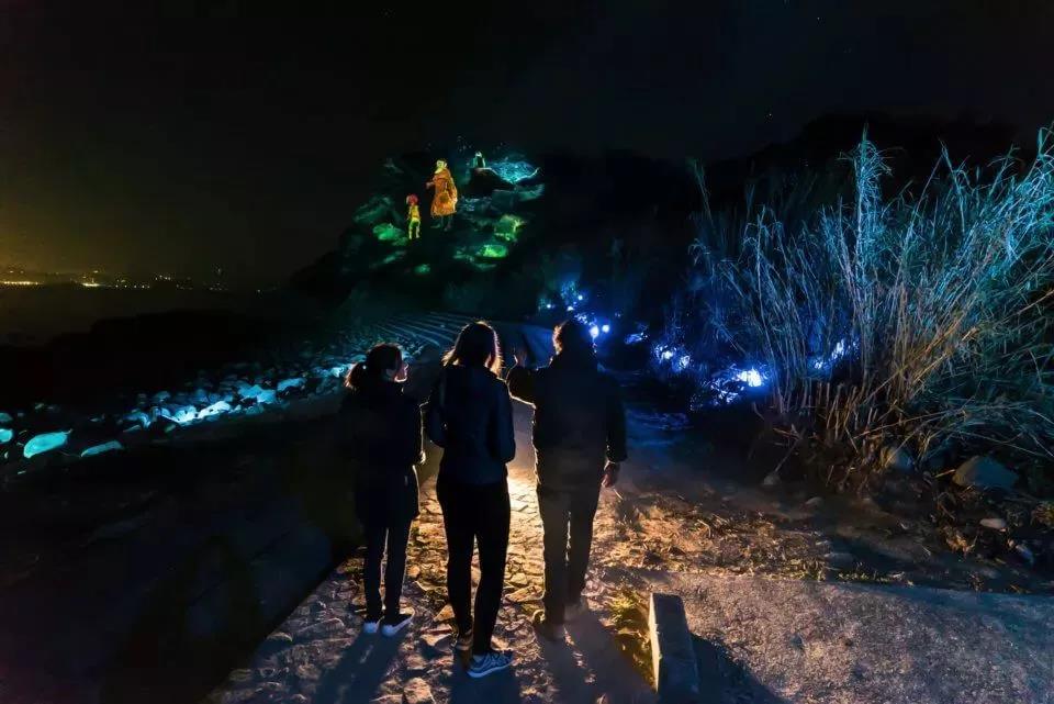 沉浸式,森林投影,夜游,聚城视界