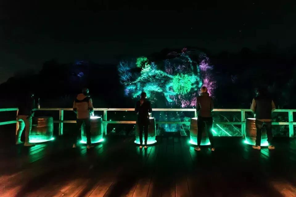 沉浸式,森林投影,夜游,聚城视界