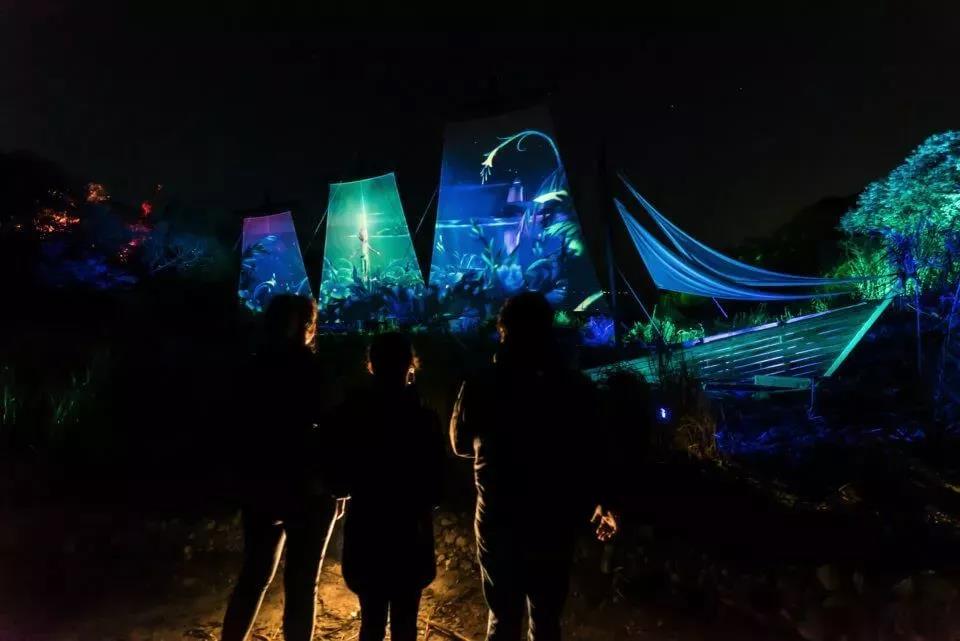 沉浸式,森林投影,夜游,聚城视界
