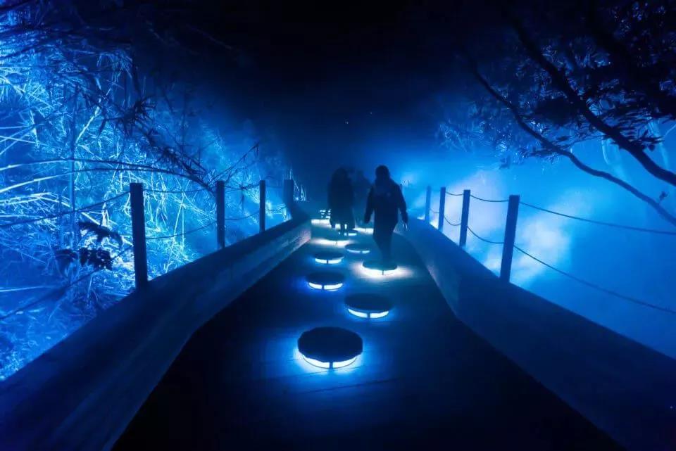 沉浸式,森林投影,夜游,聚城视界
