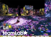 花舞森林与未来游乐园